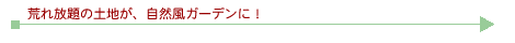 r̓ynARK[fɁI